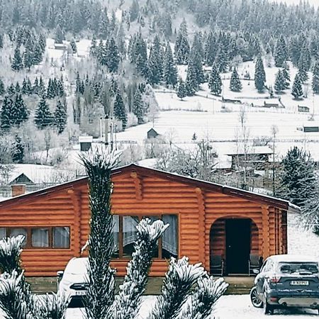 Cabana Alesia, Relaxare La Poalele Raraului Câmpulung Moldovenesc Εξωτερικό φωτογραφία