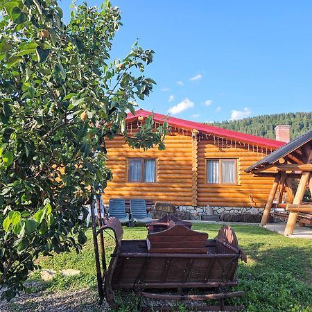 Cabana Alesia, Relaxare La Poalele Raraului Câmpulung Moldovenesc Εξωτερικό φωτογραφία