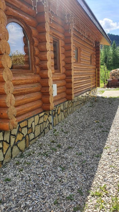 Cabana Alesia, Relaxare La Poalele Raraului Câmpulung Moldovenesc Εξωτερικό φωτογραφία