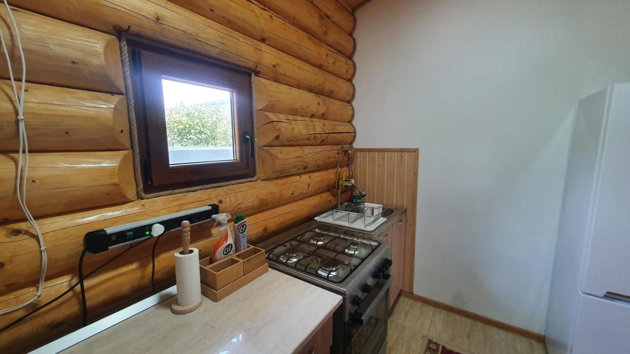Cabana Alesia, Relaxare La Poalele Raraului Câmpulung Moldovenesc Εξωτερικό φωτογραφία
