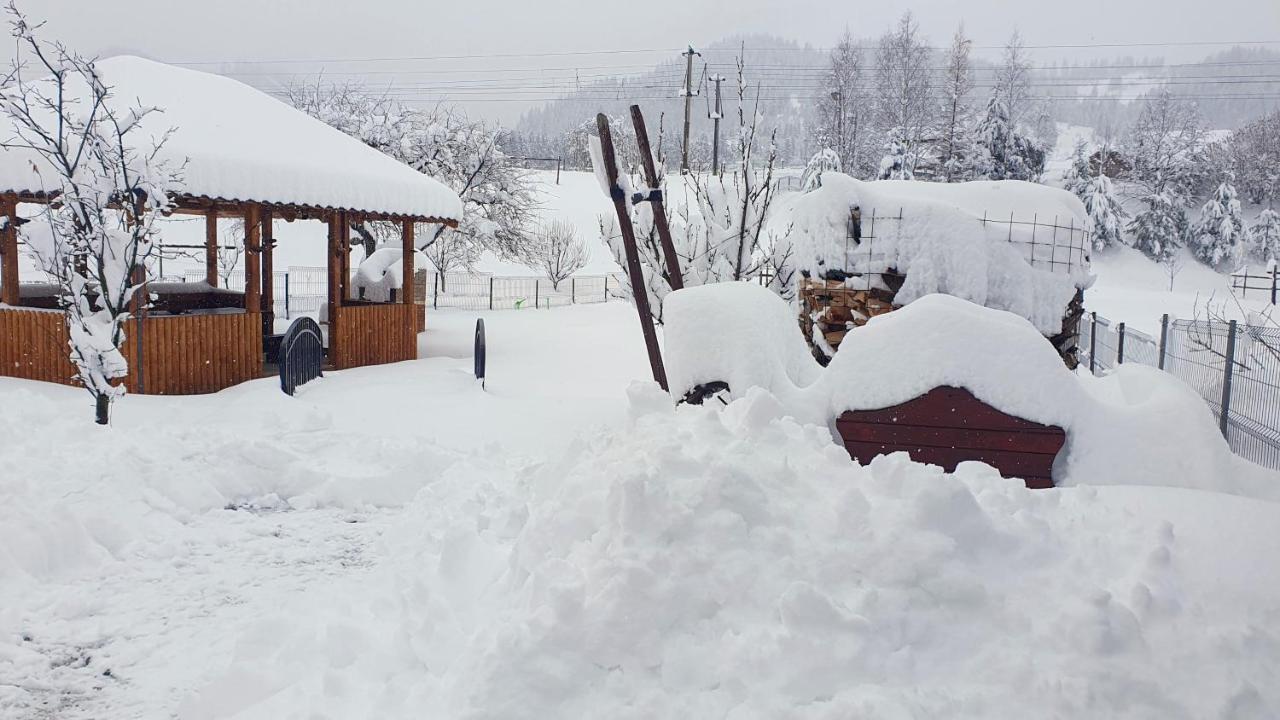 Cabana Alesia, Relaxare La Poalele Raraului Câmpulung Moldovenesc Εξωτερικό φωτογραφία